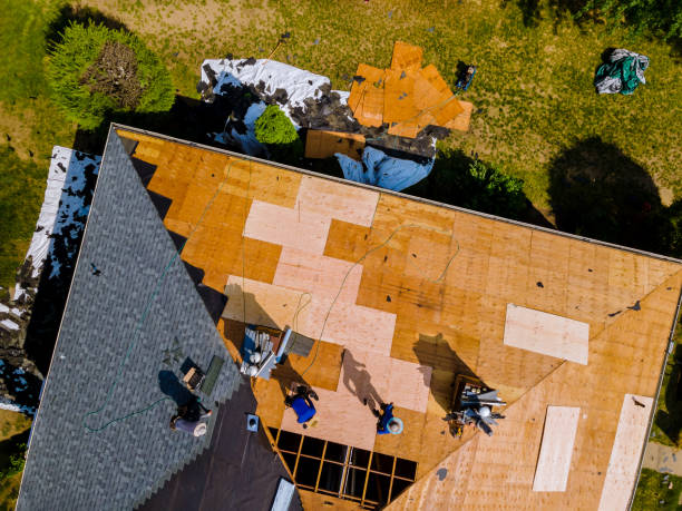 Best Metal Roofing Contractor  in Cheree, OK